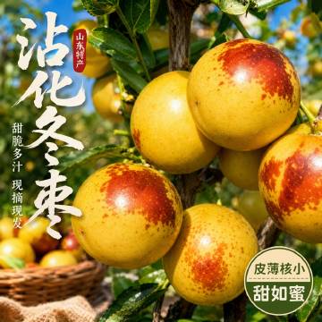 线报配图
